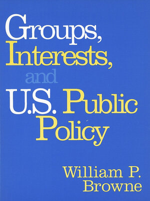 cover image of Groups, Interests, and U.S. Public Policy